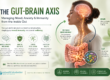 Gut-Brain Axis infographic showing the connection between gut health, mood, anxiety, immunity, serotonin production, and the vagus nerve.